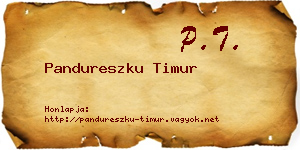 Pandureszku Timur névjegykártya